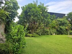 Holland Park (D10), Detached #580179281